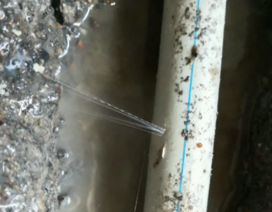 龙江测漏水哪家好