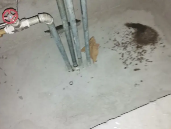 龙江卫生间测漏水价格明细